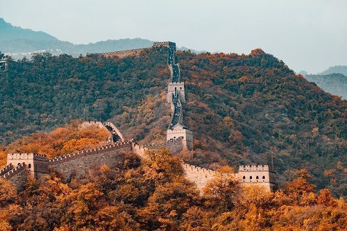 The China Hustle