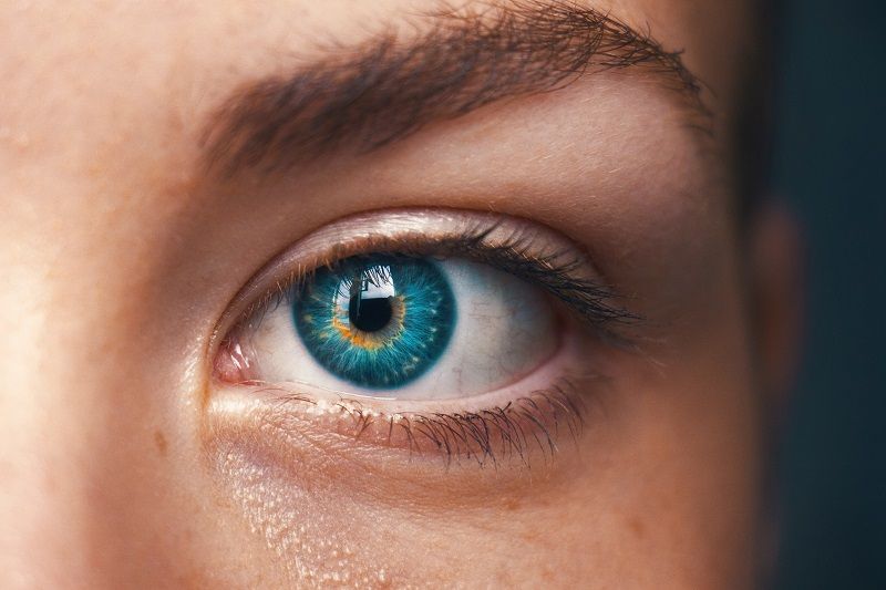 El iris en la inteligencia artificial